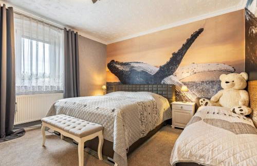 Urlaub Mit Hund - Foto 12