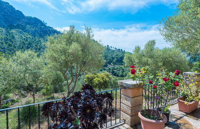 Sa Tarongera in Andratx - Foto 23