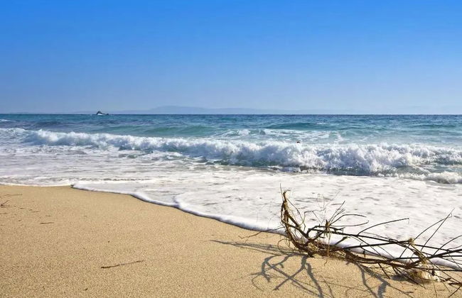 Jessica's Studios & Apartments - Foto 32