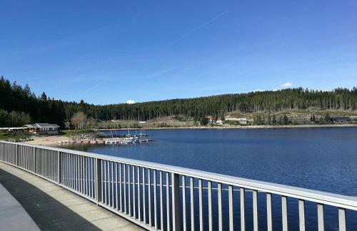 Haus Schluchseeblick - Foto 23