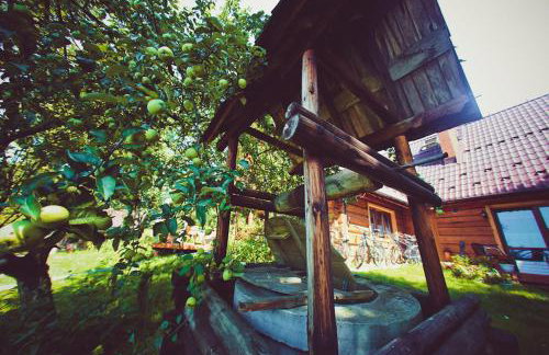 Miętowy Anioł - Foto 48