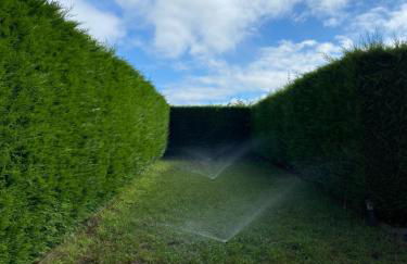 Casa Chichirica - Foto 52