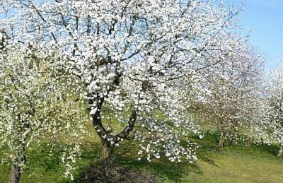 Ferienwohnung Kaiser - Foto 14