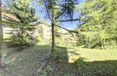 Résidence Roche De Fours - Appartement de charme . Chatelard · ski au pied MAE-1813 - Foto 16