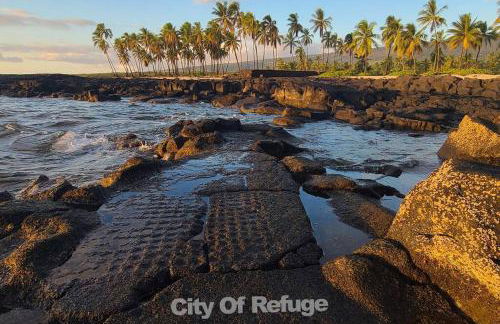 PonoMana Oasis's - Koi Cottage - Foto 58