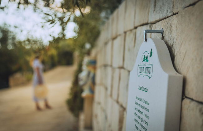 Tenuta Olive Alive - Foto 73