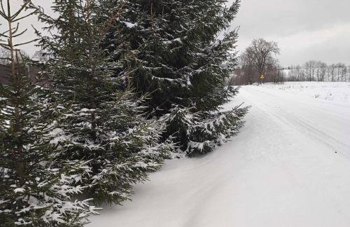 Domek Żegary - Foto 17