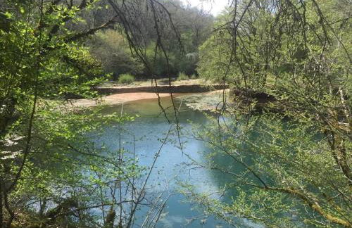 Gîtes des Deux Vallées La Borieta du Causse - Rocamadour - Foto 38