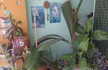 Hospedagem popular - Foto 6