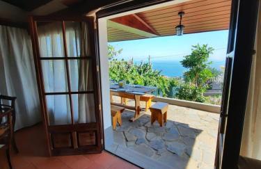 Dr. Cabral Barreto - Foto 23