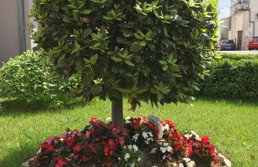 Apartment Karla&Nella - Foto 16