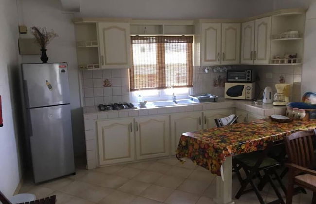 Faisan Dore - Photo 6