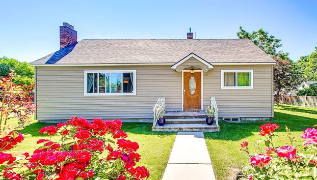 Patty's Piece of Peace - Foto 2, Imagem principal