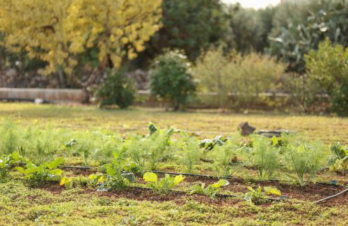 Residenza "I Tre Carrubi " - Foto 53