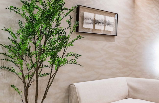 JAPAVISTA Fuji - Foto 23