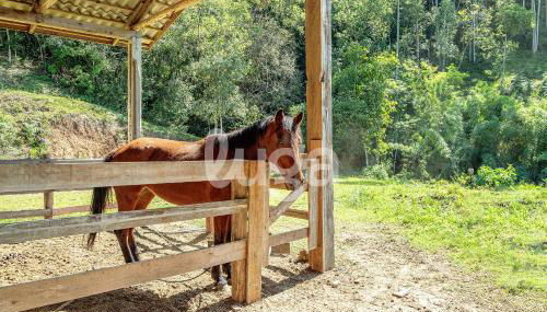 Vieira Eco Pousada #2 - Foto 4