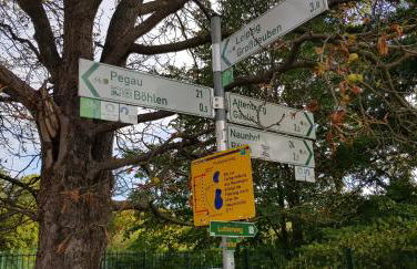 Zur Eiche - Ferienwohnung - Foto 13