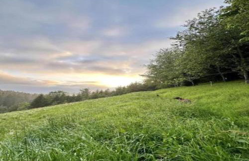 Elegante Ferienwohnung mit Aussenpool Schwarzwald - Foto 41