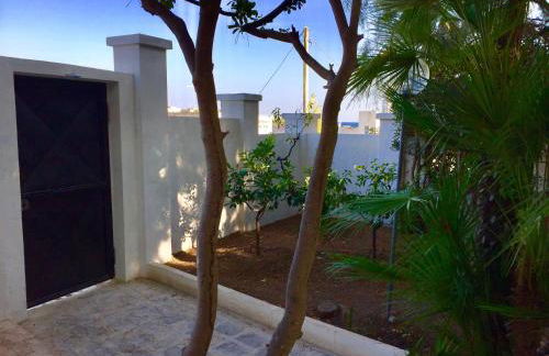 Le Due Pigne - Foto 61