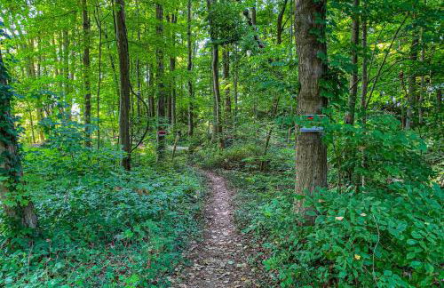 Lake Bluff - Photo 26