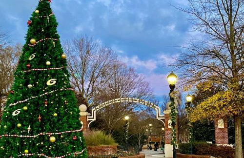 Historic Home in Downtown Greer Shop Eat & Sleep - Photo 42