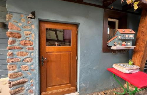 GITE le 70 à TURCKHEIM, 10 min Colmar - Foto 18