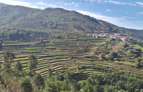 Casa da Fichua - Foto 40