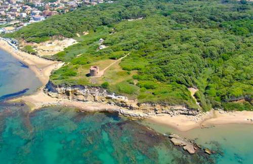 RESIDENZA I GIRASOLI - Spacious private house near the sea, quiet residential area - Lido dei Pini ANZIO - Photo 22