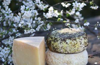 Agriturismo Borg da Ocjs - Photo 49