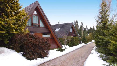 Ferienpark Tennenbronn - Foto 1