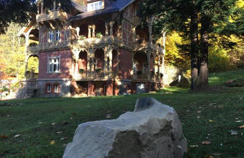 Willa Trebla - Foto 21