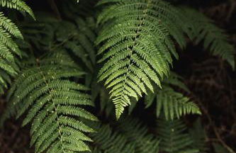 Résidence Hôtelière les Acanthes - Foto 13