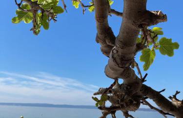 Kuća za odmor Baya - Foto 49