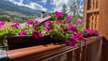 Grande Maison Du Coeur Champoluc Spa,Gym e Aree Relax - Foto 3, Garden view