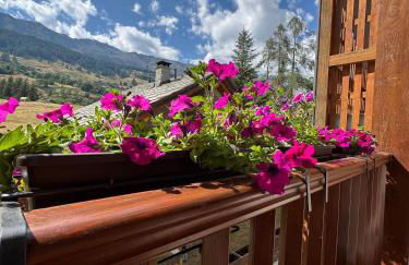 Grande Maison Du Coeur Champoluc Spa,Gym e Aree Relax - Foto 62