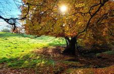 Kolej na sudety - Foto 29