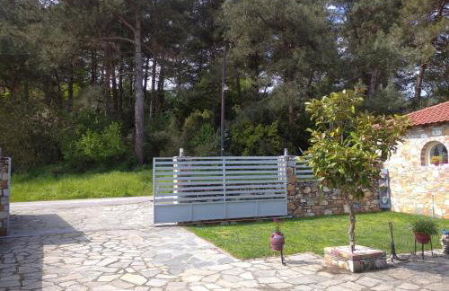 AMISIANA LITTLE BEAUTY NEXT TO NATURE - Foto 7