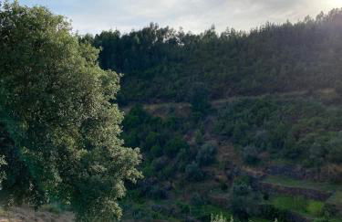 Casa da Ribeirinha - Foto 35