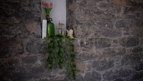 spot do vale - Foto 5