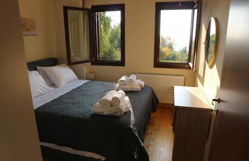 Villa Elea in Milies Pelion - Foto 23