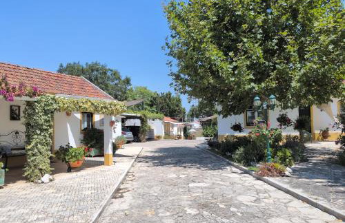 Casinha Robusto - Foto 3
