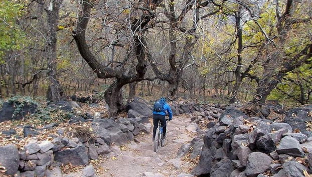 "Easy Cycling Trip in Marrakech Atlas Mountains - Photo 2, vtt cycling Facile www.adraraventure.ma