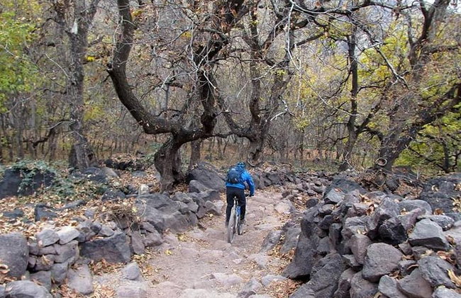"Voyage à vélo facile dans les montagnes de l'Atlas de Marrakech - Photo 2