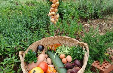 Kuća za odmor GOTA - Foto 21