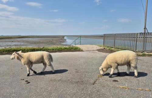 Ferienhaus Küstenzauber Simonsberg Nordsee Meer Husum - Foto 19