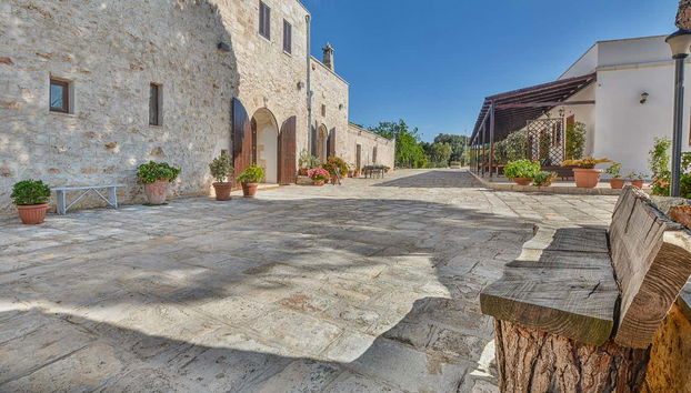 Olive Oil Tasting - Foto 2