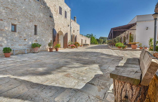 Olive Oil Tasting - Foto 2