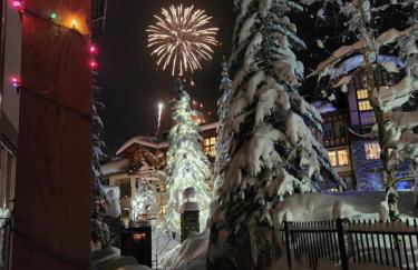 Stunning at Solitude, Steps from Chair Lift, East #103 - Foto 26