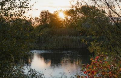 Vallum Cabins - Foto 20