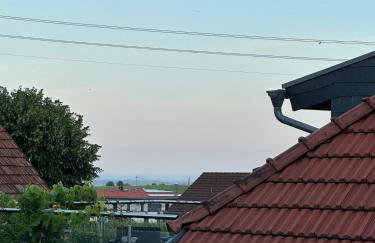 Altes Winzerhaus Stegmann - Foto 5